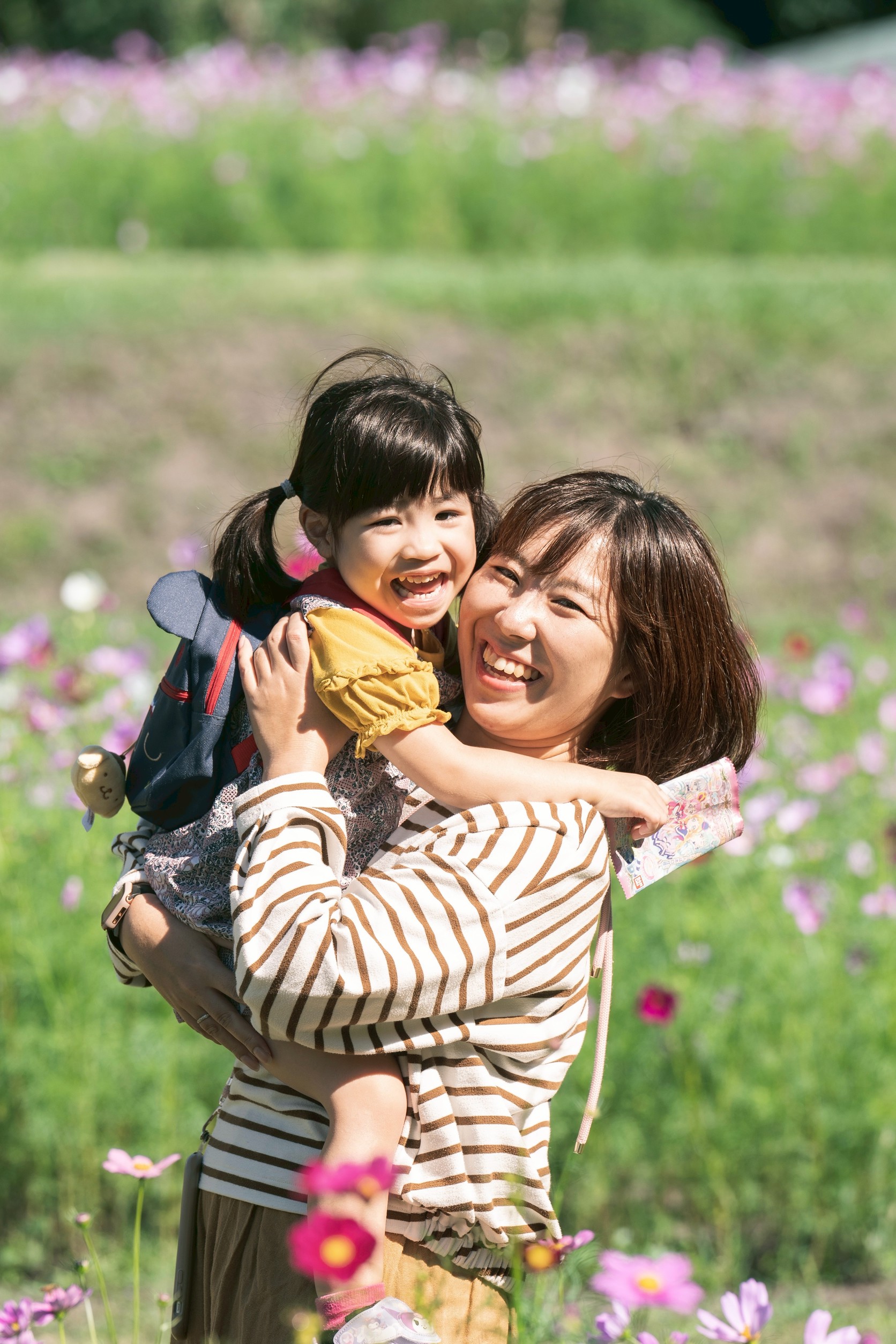 フリープラン実績2