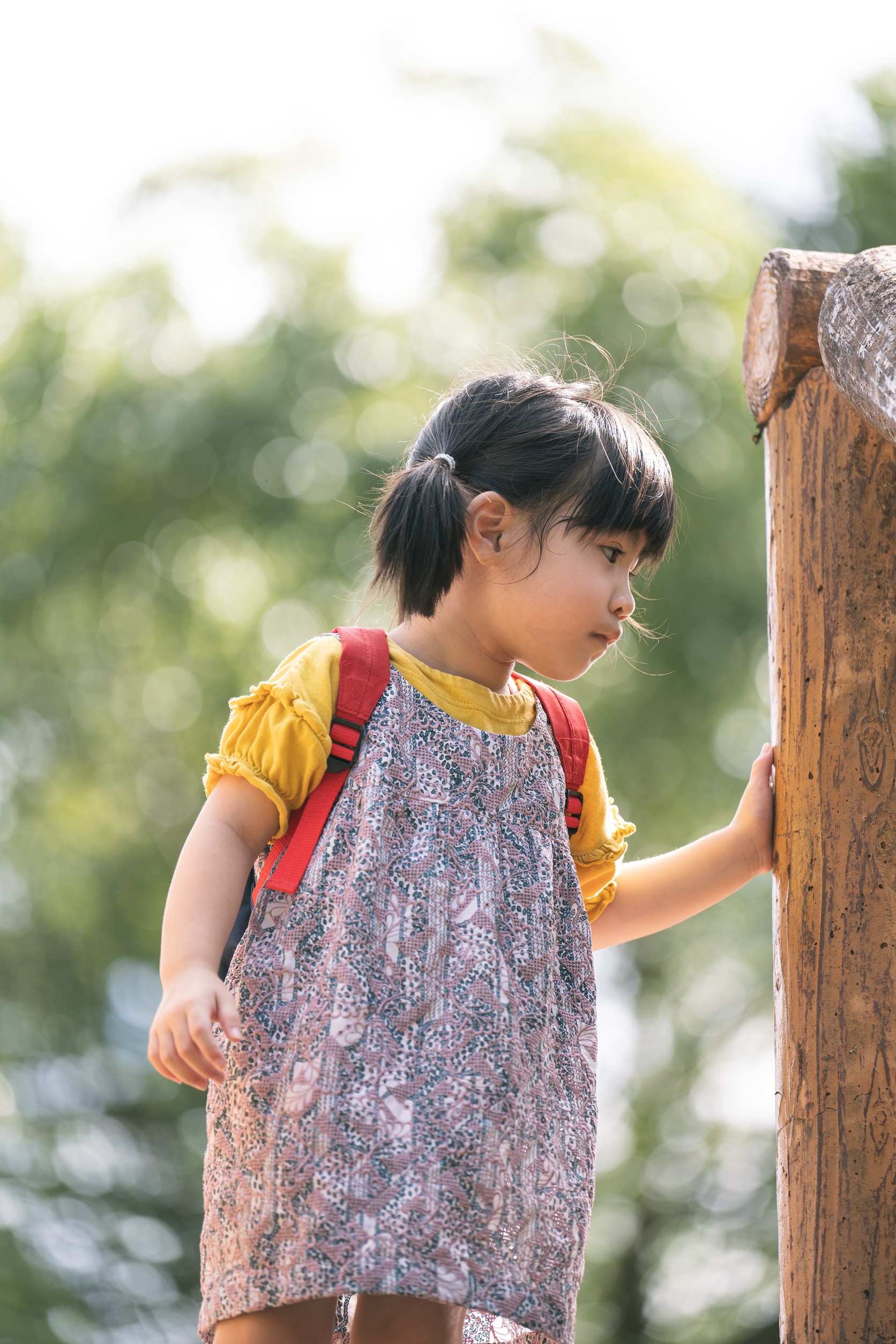 フリープラン実績2