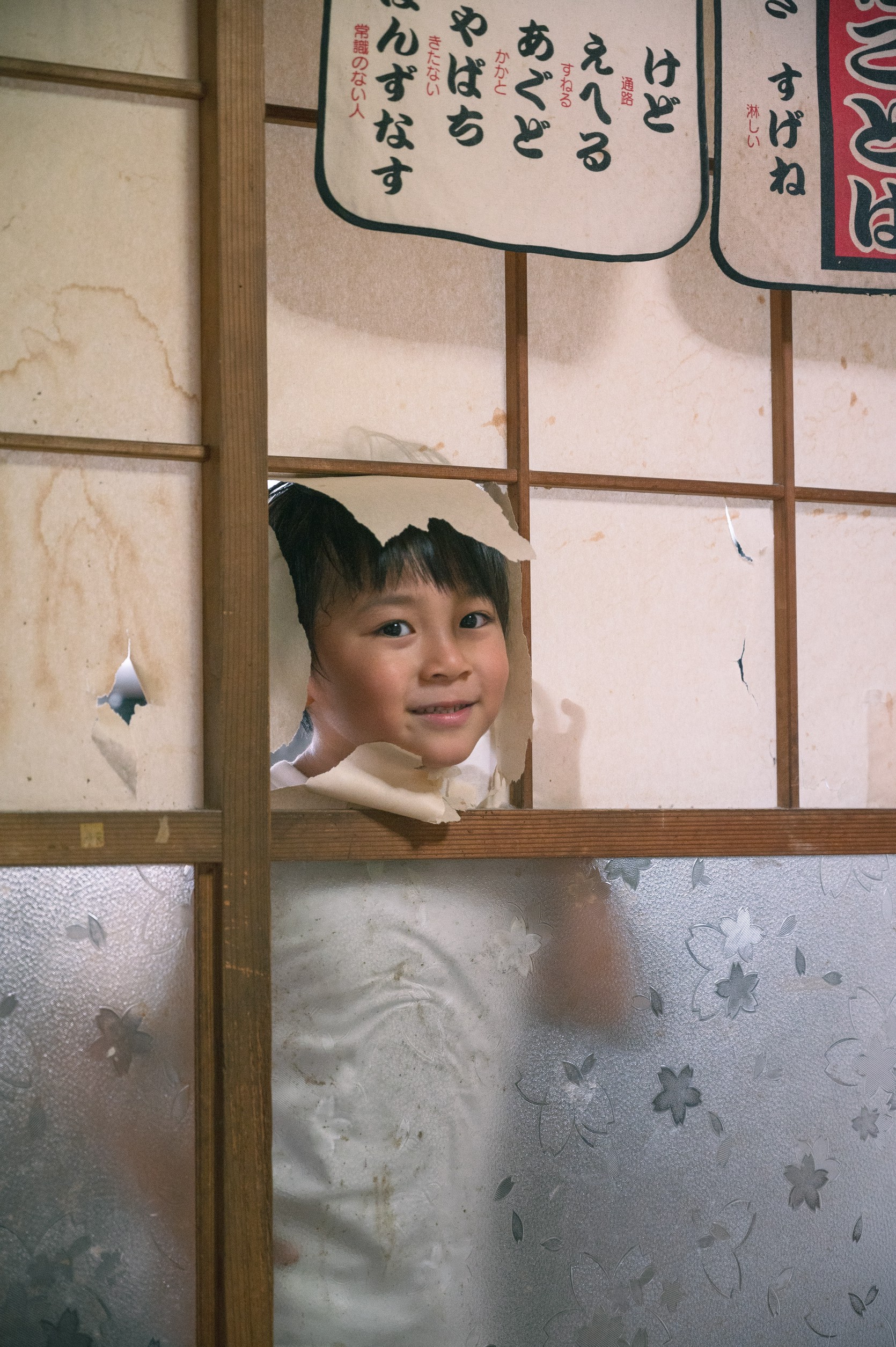 フリープラン実績2