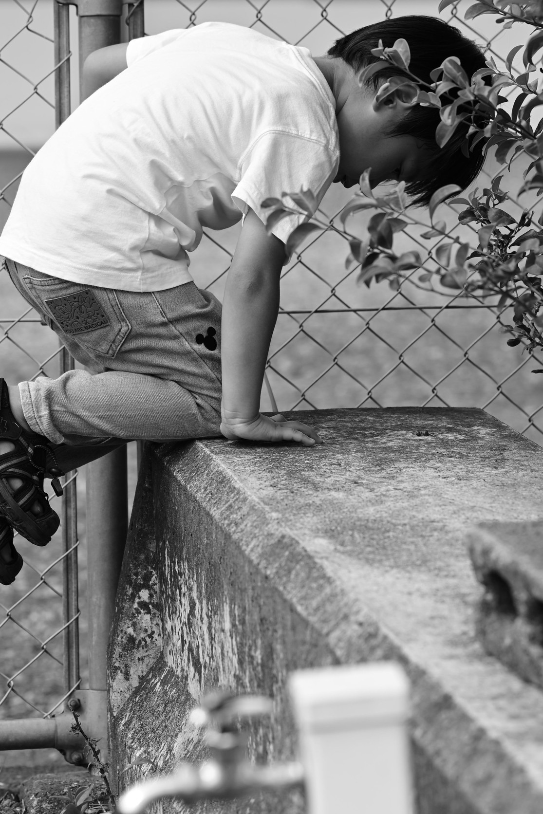 フリープラン実績2