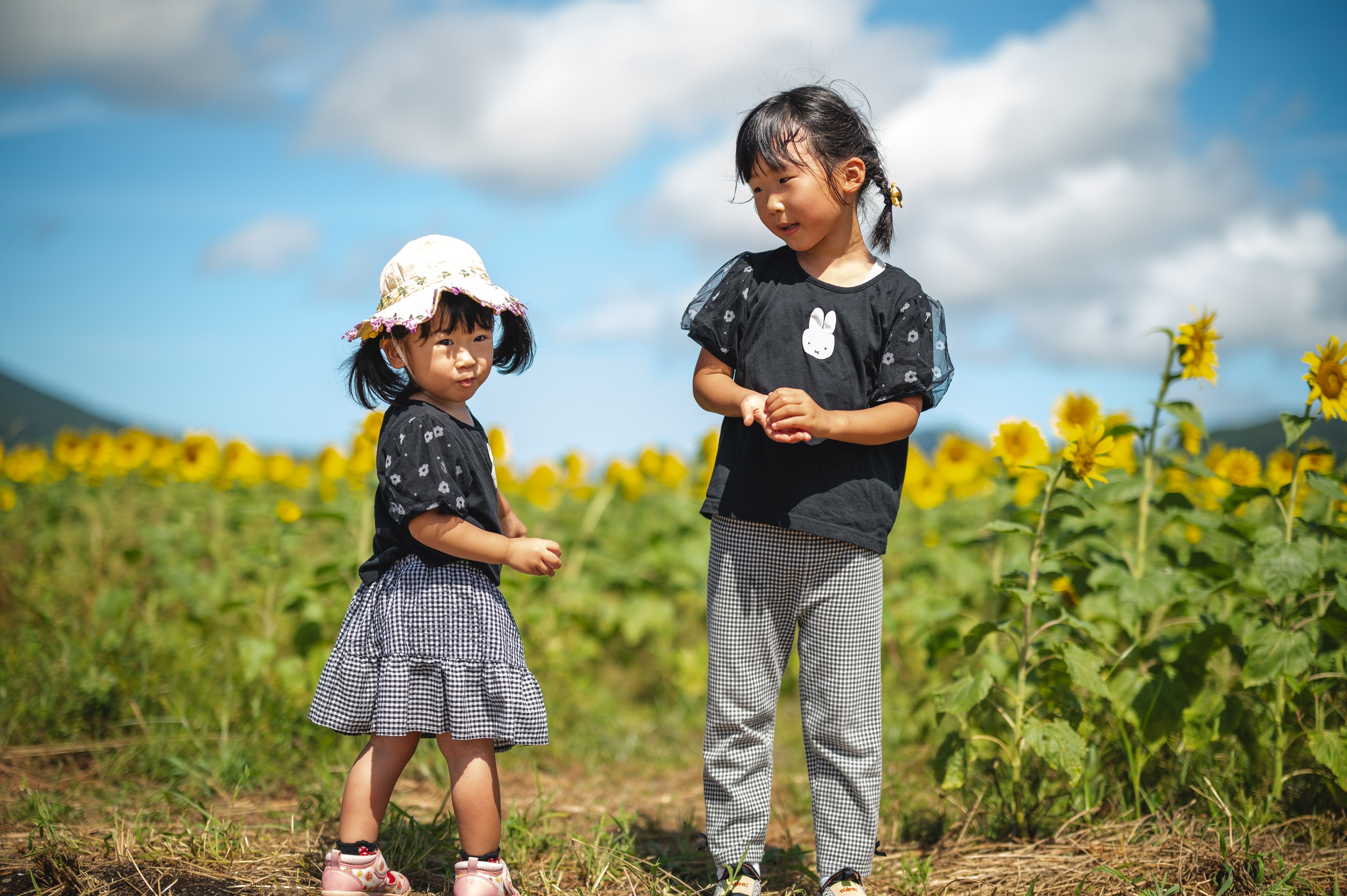 フリープラン実績2