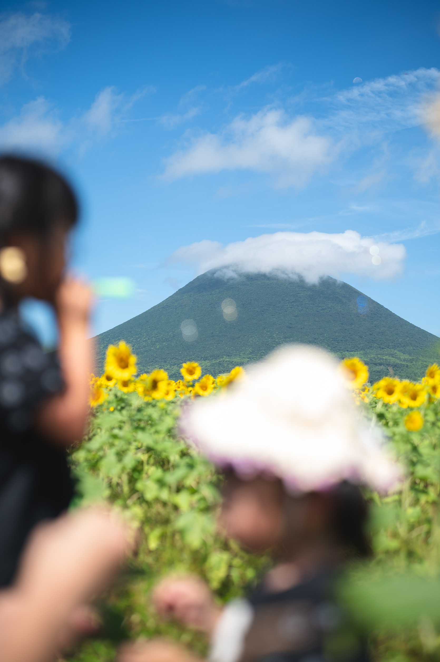 フリープラン実績2