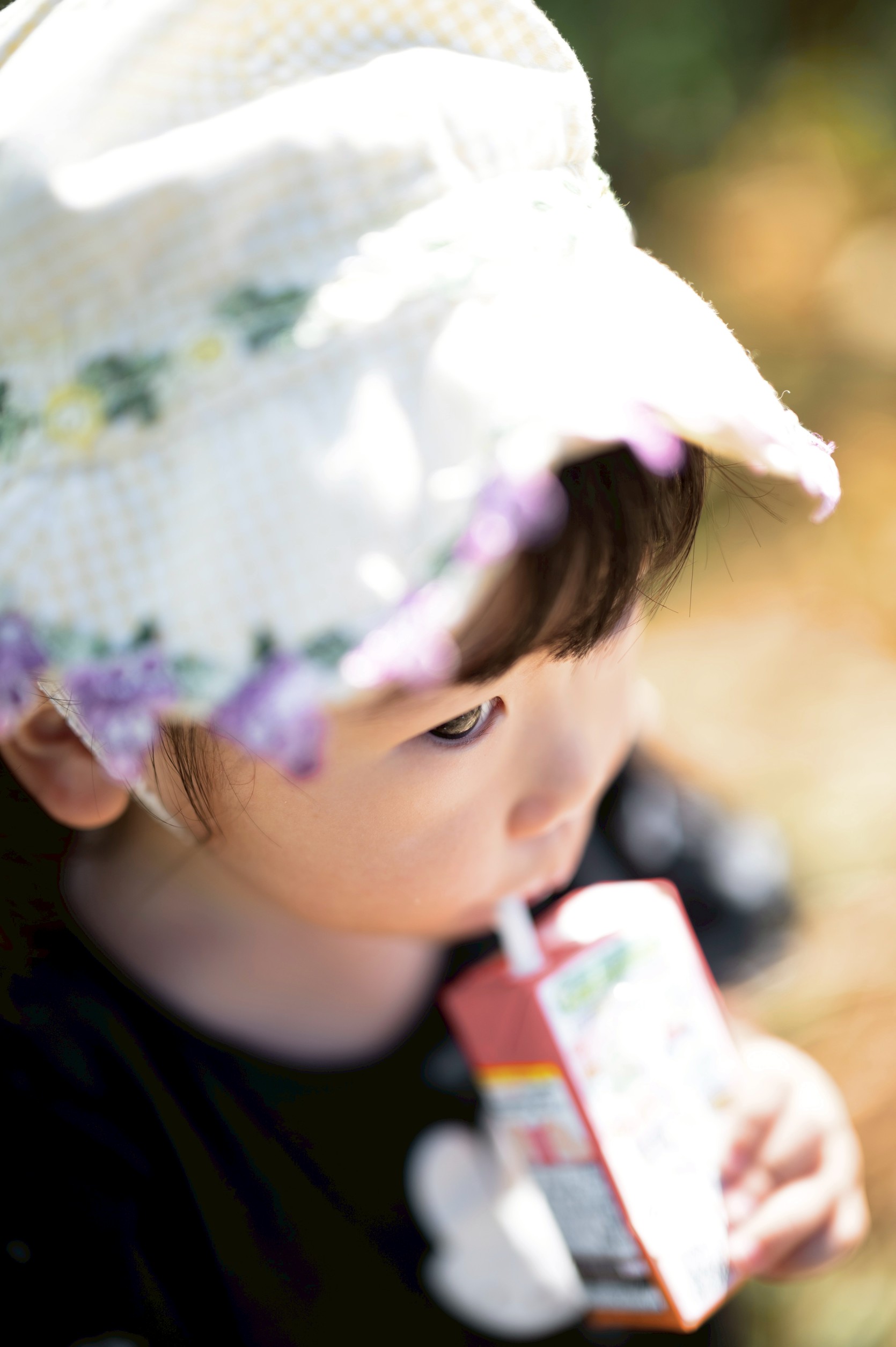 フリープラン実績2