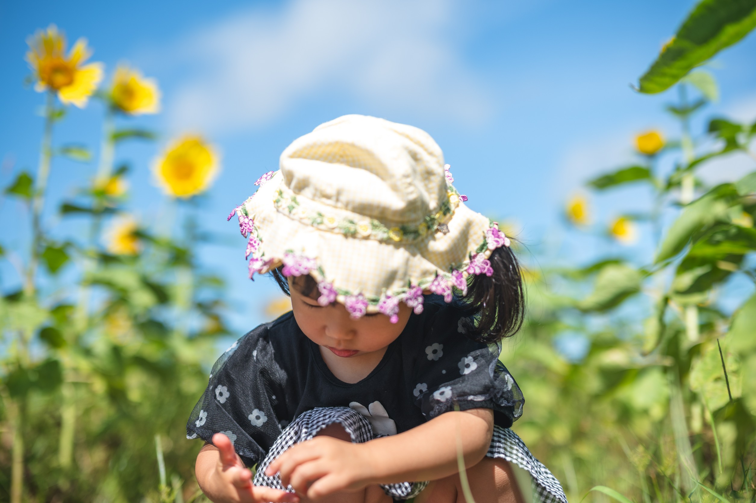 フリープラン実績2