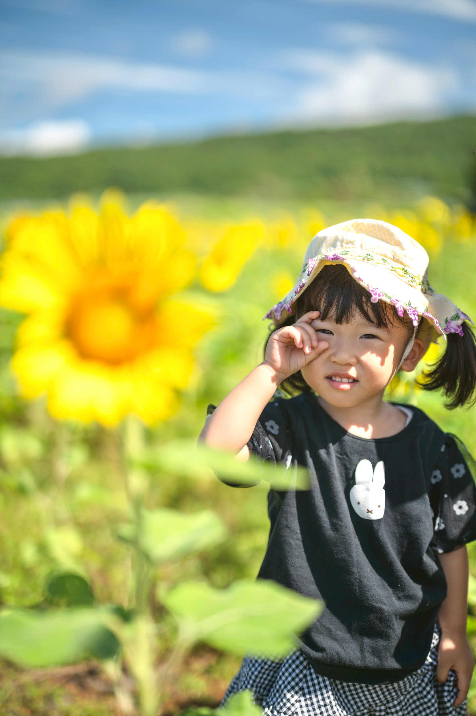 フリープラン実績2