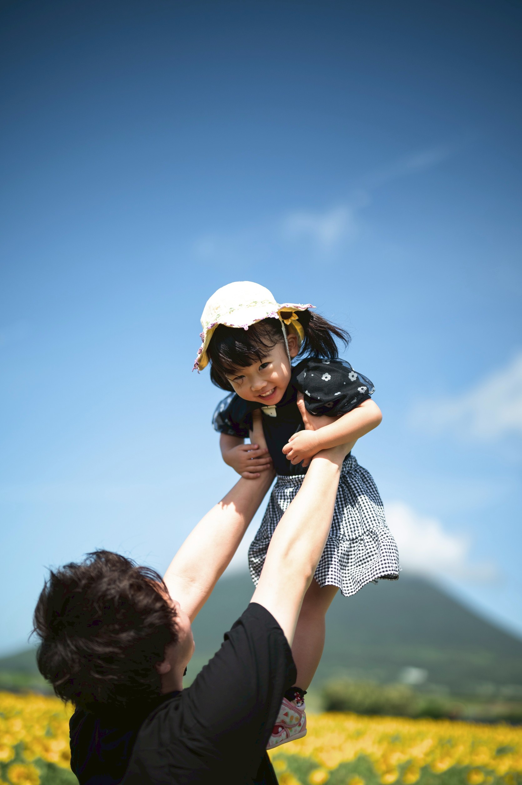 フリープラン実績2