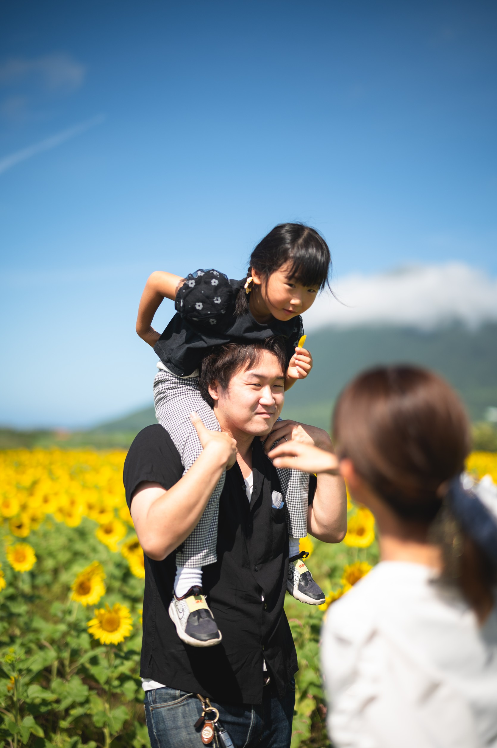 フリープラン実績2