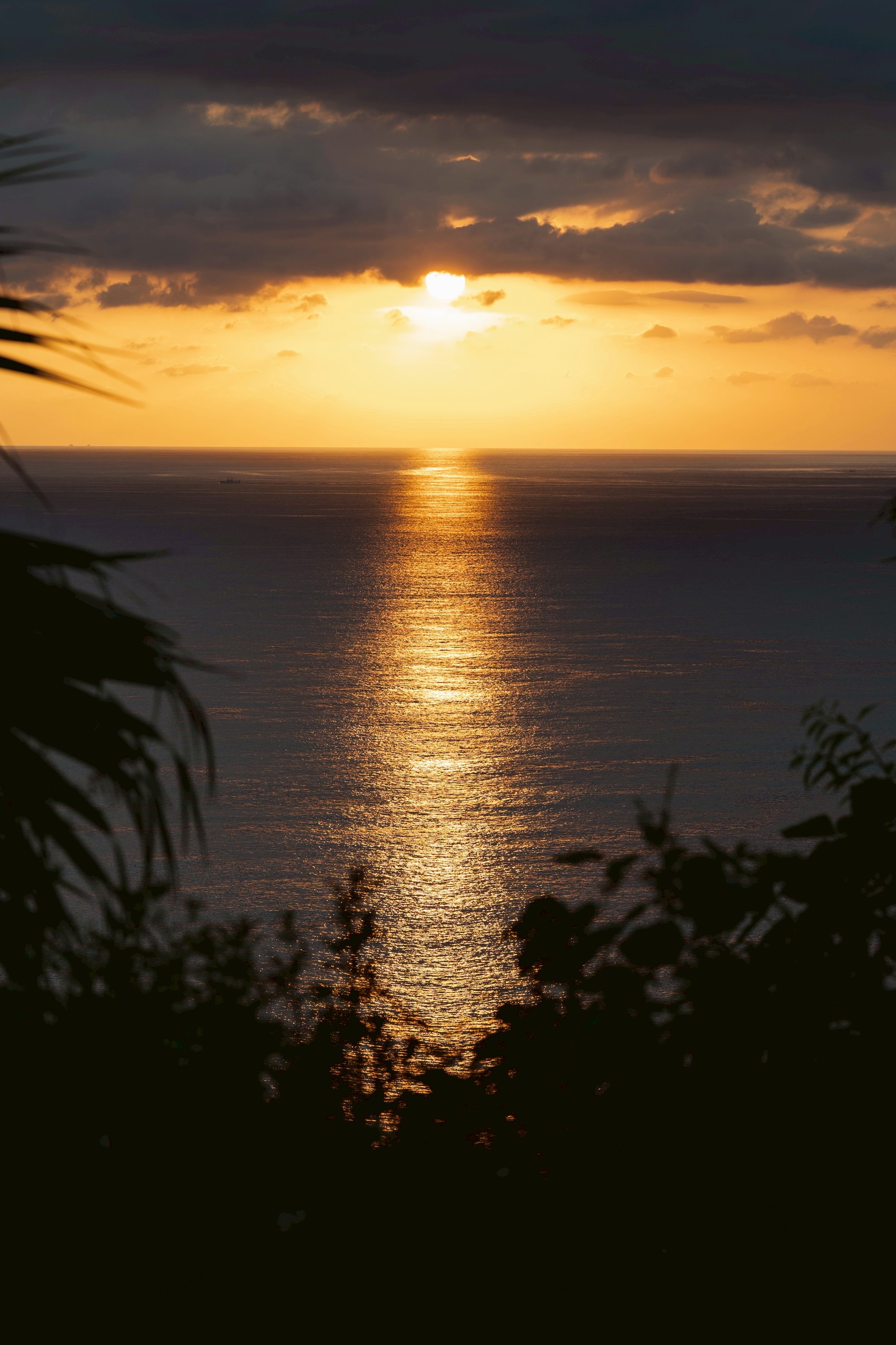 ウエディング実績1