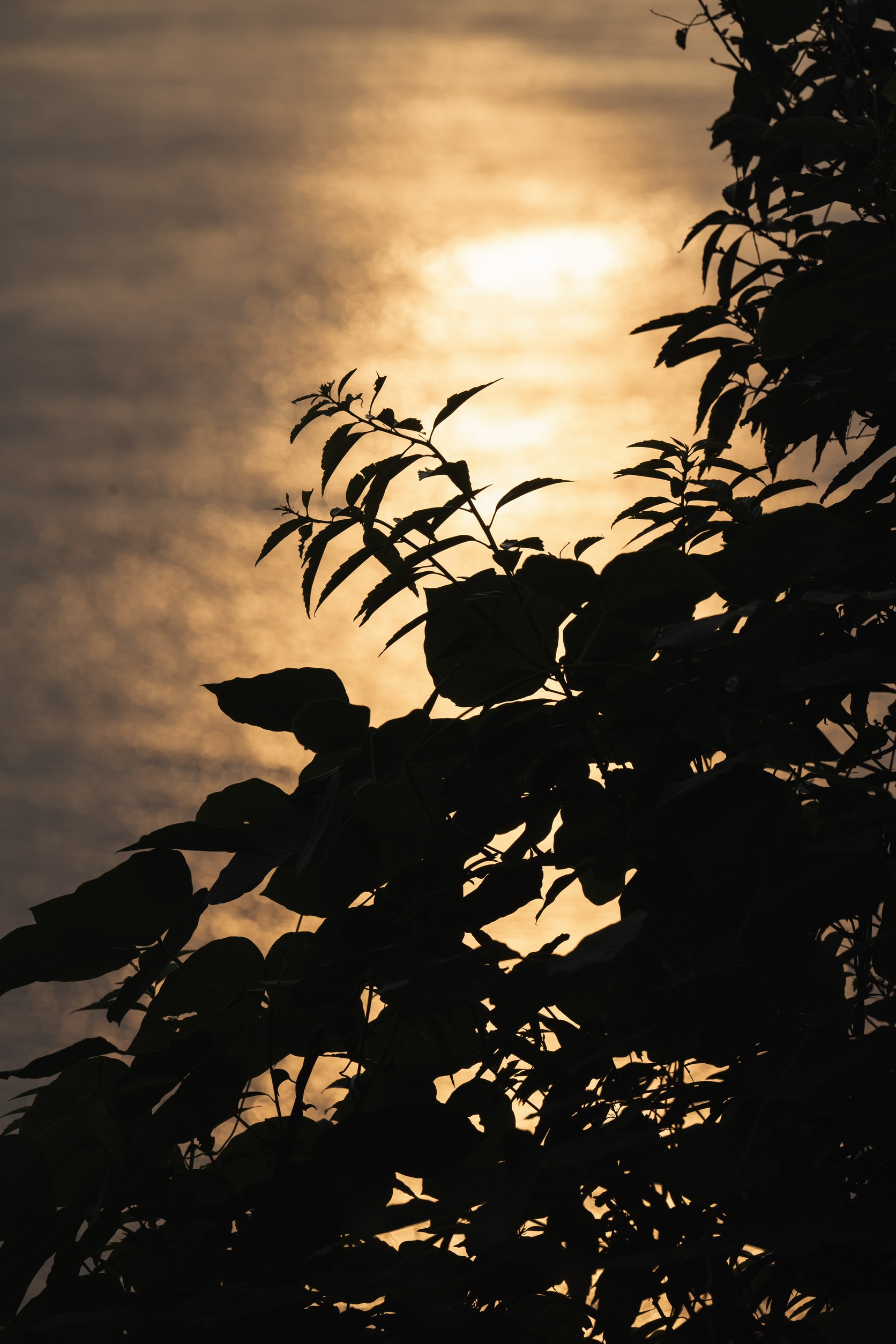 ウエディング実績1