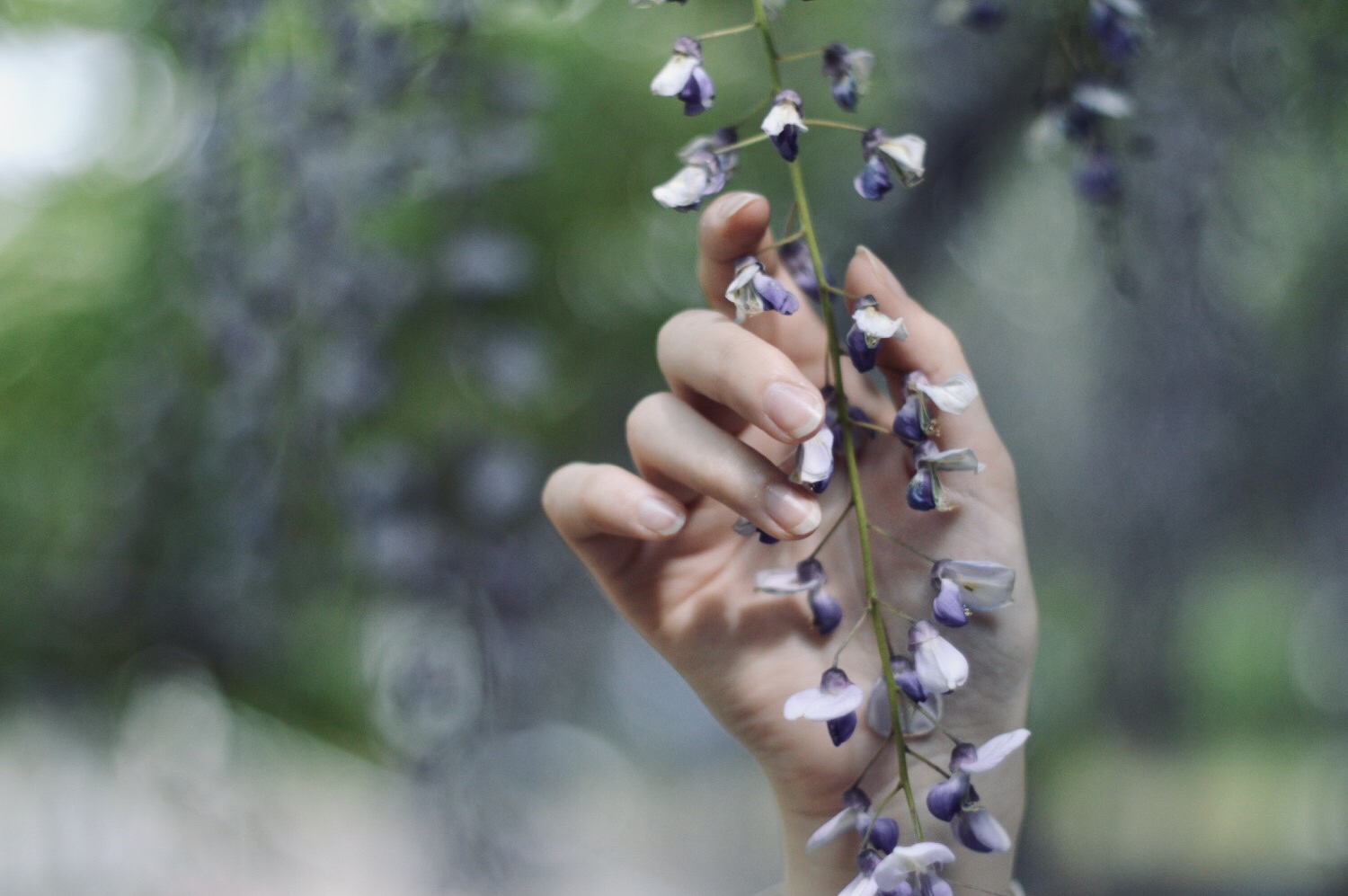 ウエディング実績1